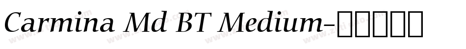 Carmina Md BT Medium字体转换